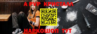 шишки Кандалакша