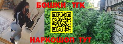 шишки Кандалакша