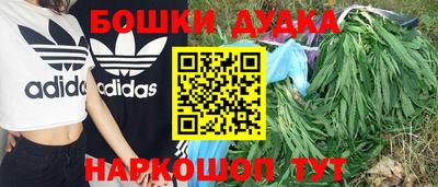 шишки Кандалакша