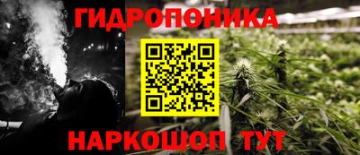 шишки Кандалакша