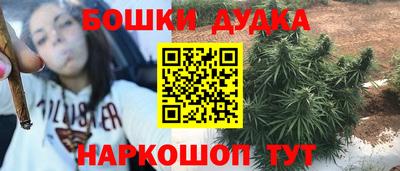 шишки Кандалакша