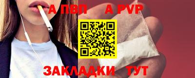 шишки Кандалакша