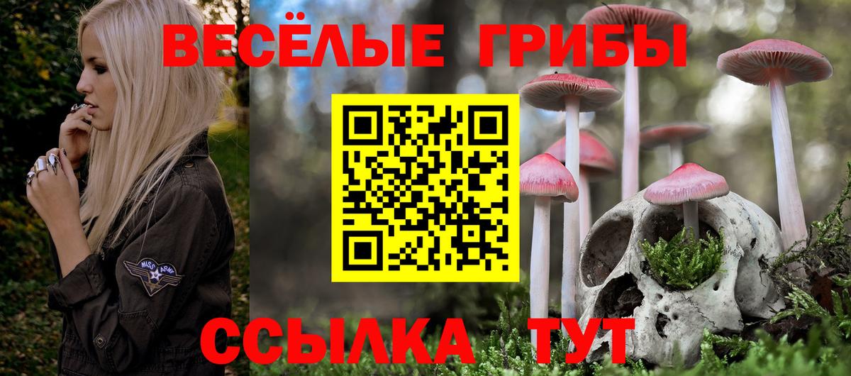 Канаш  Псилоцибиновые грибы мухоморы  Вход с VPN 