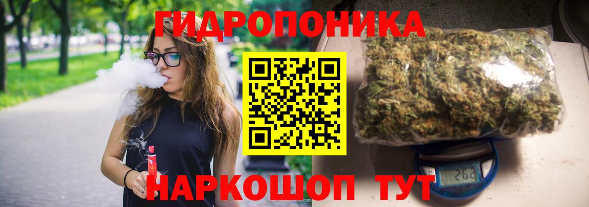 Бошки Шишки OG Kush  Марихуана планчик  Канаш  Вход с VPN 